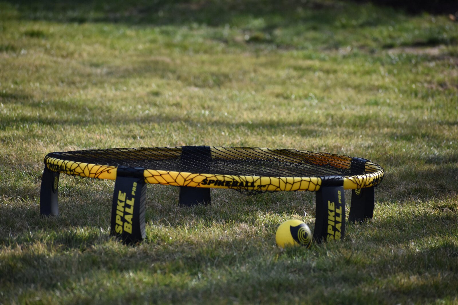 Afbeelding Spikeball